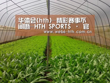 种植基地四