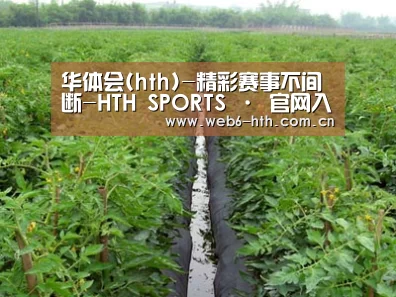 种植基地三