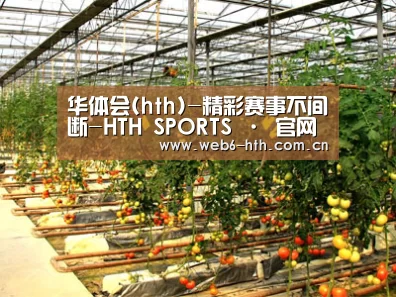 种植基地二