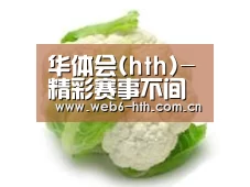 产品名称九
