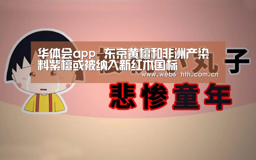 华体会体育官网入口