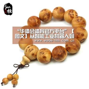 华体会体育官网入口