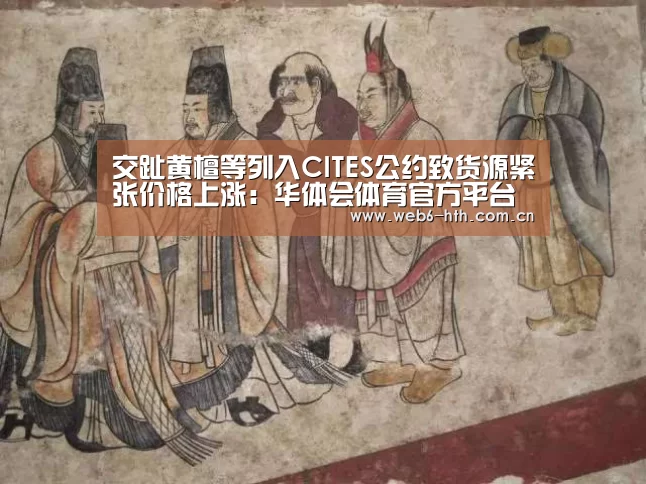 华体会app