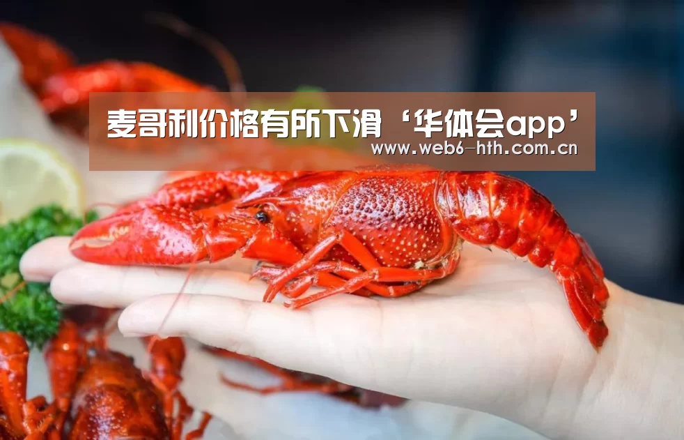 华体会体育官网入口