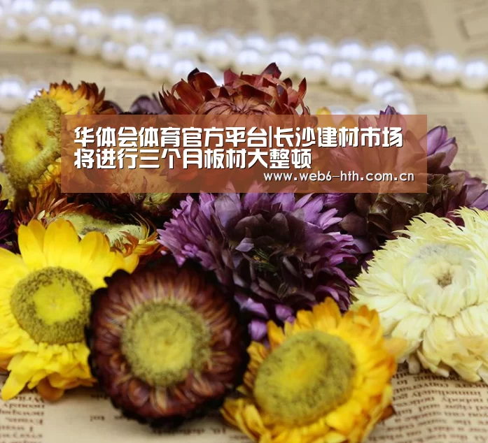 华体会