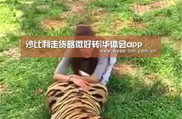 华体会