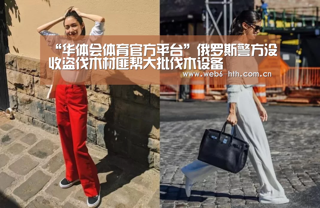 “华体会体育官方平台”俄罗斯警方没收盗伐木材匪帮大批伐木设备(图1) 华体会