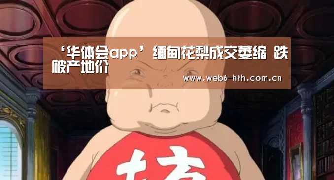 华体会体育官网入口