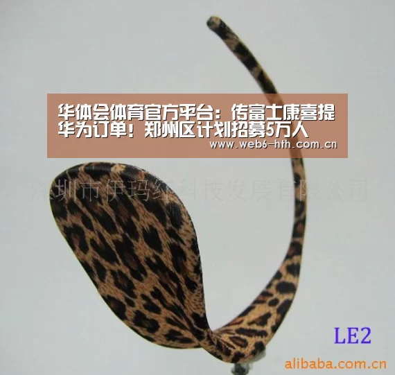华体会